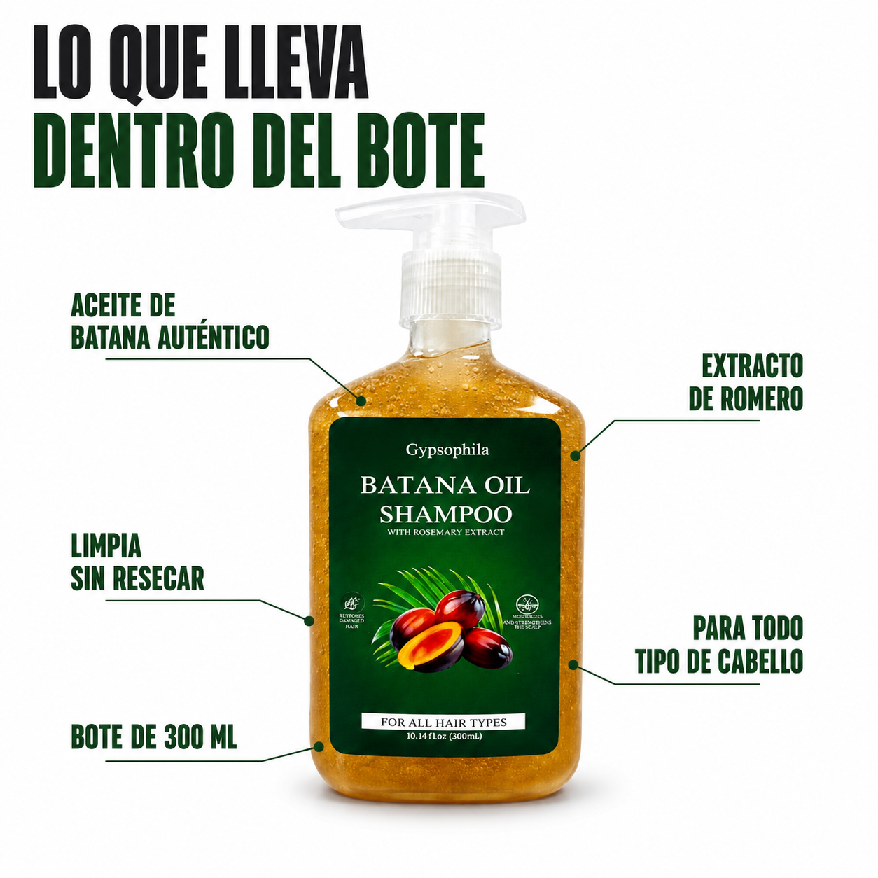 Shampoo de Batana y Romero — Tratamiento Anticaída Completo (2 Botes)